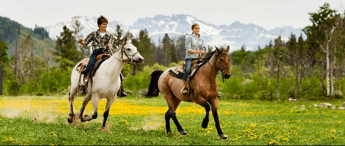 Confident plus-size woman riding Cheltenham a horse through a field with a smile on her face.